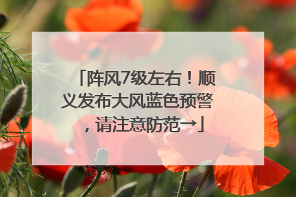 阵风7级左右！顺义发布大风蓝色预警，请注意防范→