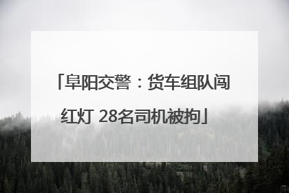 阜阳交警：货车组队闯红灯 28名司机被拘