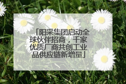 阳采集团启动全球伙伴招商，千家优质厂商共创工业品供应链新增量