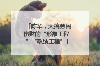 陈华，大搞劳民伤财的“形象工程”“政绩工程”