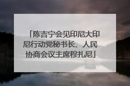 陈吉宁会见印尼大印尼行动党秘书长、人民协商会议主席穆扎尼