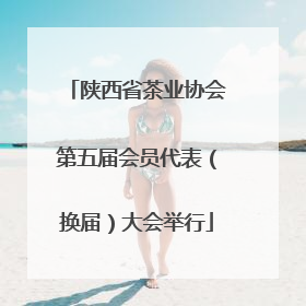 陕西省茶业协会第五届会员代表（换届）大会举行