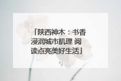 陕西神木：书香浸润城市肌理 阅读点亮美好生活