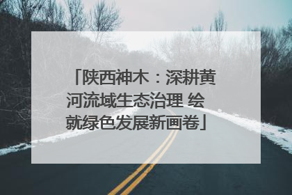 陕西神木：深耕黄河流域生态治理 绘就绿色发展新画卷