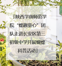 陕西学前师范学院“蝶趣童心”团队走进长安区第三初级中学开展蝴蝶科普活动