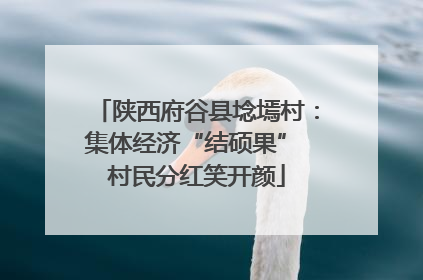 陕西府谷县埝墕村：集体经济“结硕果” 村民分红笑开颜
