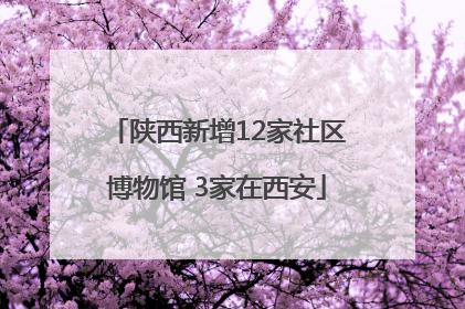 陕西新增12家社区博物馆 3家在西安