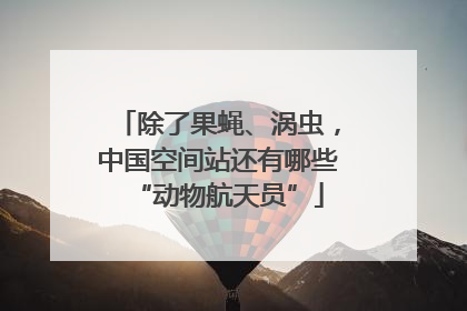 除了果蝇、涡虫，中国空间站还有哪些“动物航天员”