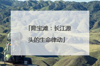 隆宝滩：长江源头的生命律动