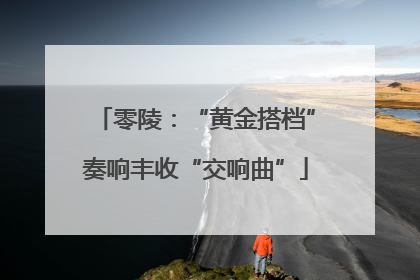 零陵：“黄金搭档”奏响丰收“交响曲”