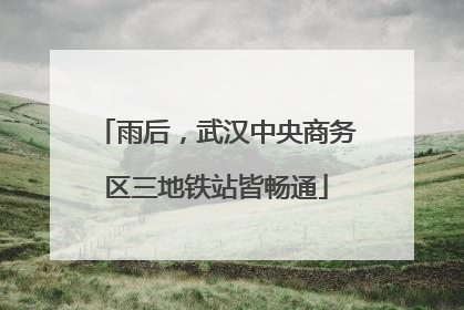 雨后，武汉中央商务区三地铁站皆畅通