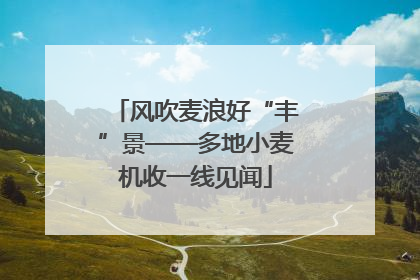 风吹麦浪好“丰”景——多地小麦机收一线见闻