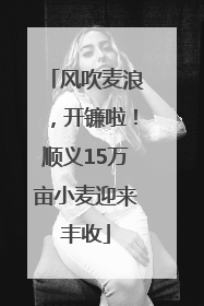 风吹麦浪，开镰啦！顺义15万亩小麦迎来丰收