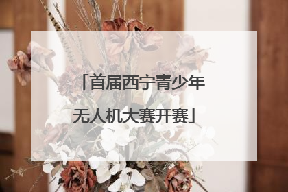 首届西宁青少年无人机大赛开赛