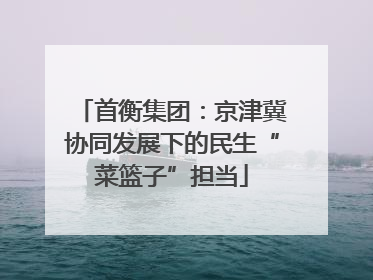 首衡集团：京津冀协同发展下的民生“菜篮子”担当