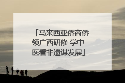 马来西亚侨商侨领广西研修 学中医看非遗谋发展