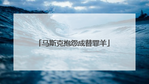 马斯克抱怨成替罪羊