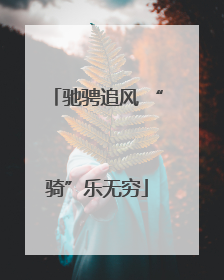驰骋追风 “骑”乐无穷