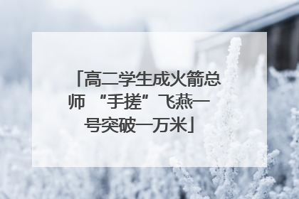 高二学生成火箭总师 “手搓”飞燕一号突破一万米