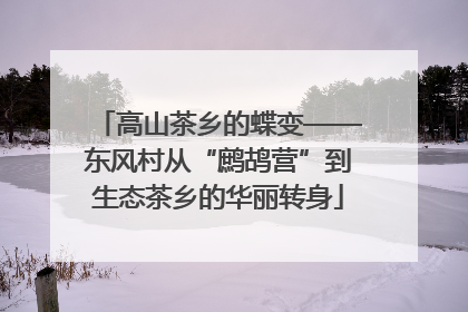 高山茶乡的蝶变——东风村从“鹧鸪营”到生态茶乡的华丽转身