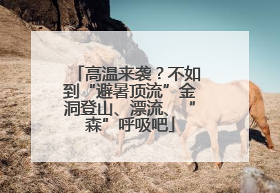 高温来袭？不如到“避暑顶流”金洞登山、漂流、“森”呼吸吧