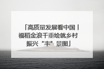 高质量发展看中国丨福稻金浪千重绘就乡村振兴“丰”景图
