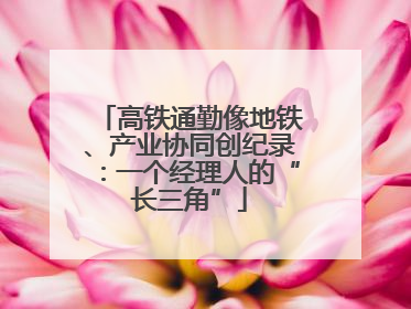 高铁通勤像地铁、产业协同创纪录：一个经理人的“长三角”