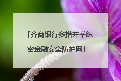 齐商银行多措并举织密金融安全防护网