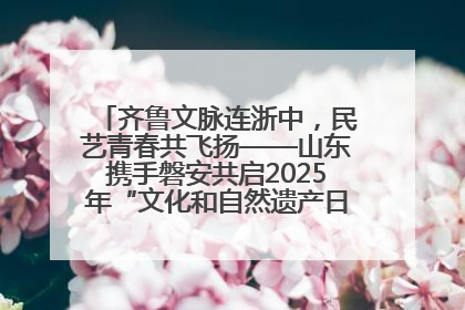 齐鲁文脉连浙中，民艺青春共飞扬——山东携手磐安共启2025年“文化和自然遗产日”系列活动