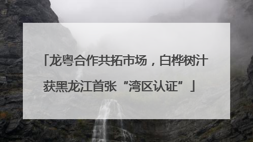 龙粤合作共拓市场，白桦树汁获黑龙江首张“湾区认证”