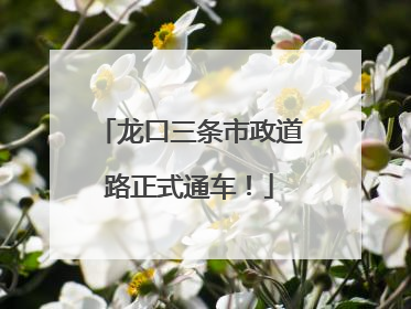 龙口三条市政道路正式通车！