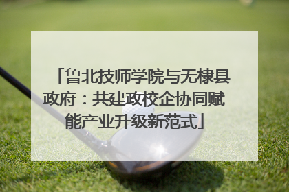鲁北技师学院与无棣县政府：共建政校企协同赋能产业升级新范式