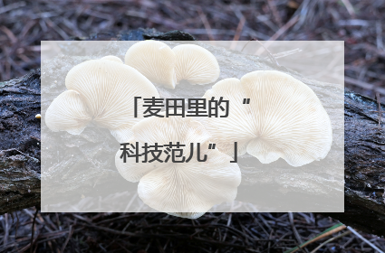 麦田里的“科技范儿”