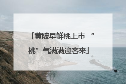 黄陂早鲜桃上市 “桃”气满满迎客来