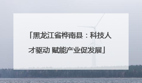 黑龙江省桦南县：科技人才驱动 赋能产业促发展