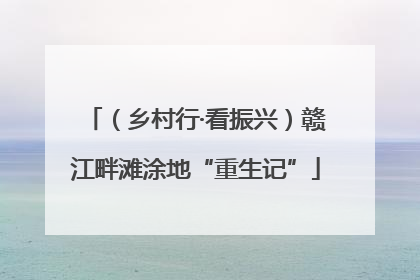 （乡村行·看振兴）赣江畔滩涂地“重生记”