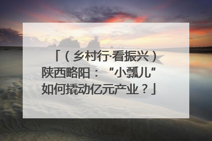 （乡村行·看振兴）陕西略阳：“小瓢儿”如何撬动亿元产业？