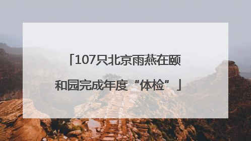 107只北京雨燕在颐和园完成年度“体检”