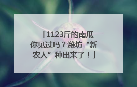1123斤的南瓜你见过吗？潍坊“新农人”种出来了！