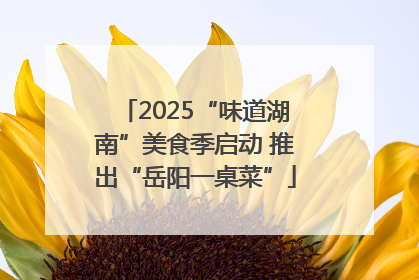 2025“味道湖南”美食季启动 推出“岳阳一桌菜”