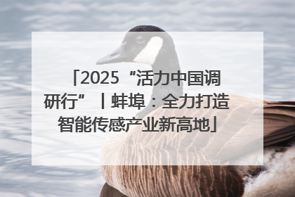 2025“活力中国调研行”丨蚌埠：全力打造智能传感产业新高地