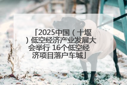 2025中国（十堰）低空经济产业发展大会举行 16个低空经济项目落户车城
