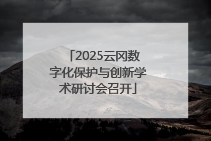 2025云冈数字化保护与创新学术研讨会召开
