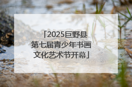 2025巨野县第七届青少年书画文化艺术节开幕