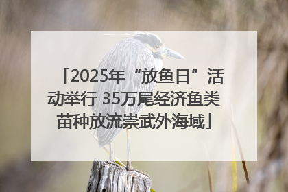 2025年“放鱼日”活动举行 35万尾经济鱼类苗种放流崇武外海域