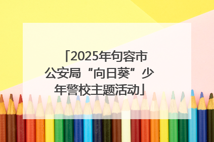 2025年句容市公安局“向日葵”少年警校主题活动