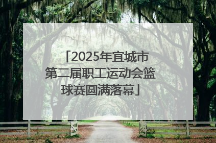 2025年宜城市第二届职工运动会篮球赛圆满落幕