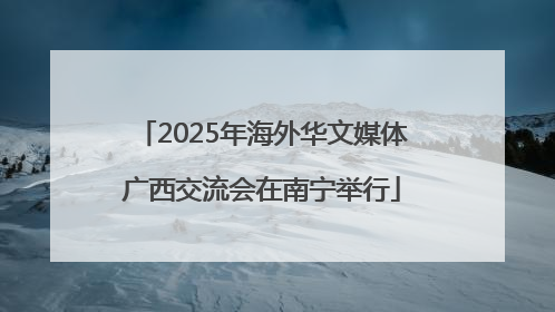 2025年海外华文媒体广西交流会在南宁举行