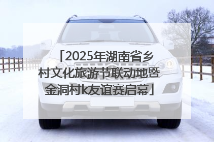 2025年湖南省乡村文化旅游节联动地暨金洞村k友谊赛启幕