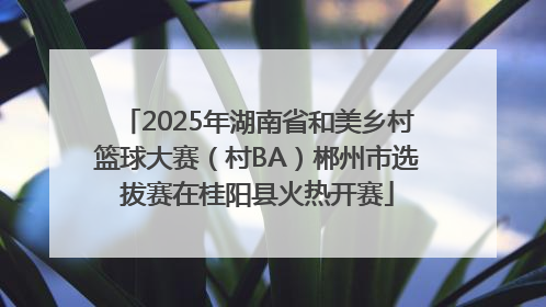 2025年湖南省和美乡村篮球大赛（村BA）郴州市选拔赛在桂阳县火热开赛